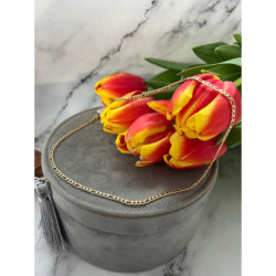 442 Złoty łańcuszek figaro naszyjnik stal 316