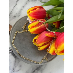 1056 Złota pancerka łańcuszek naszyjnik stal 316