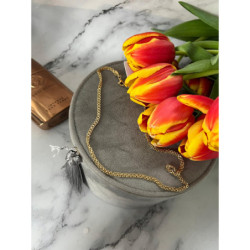 583 Złota celebrytka łańcuszek naszyjnik stal 316