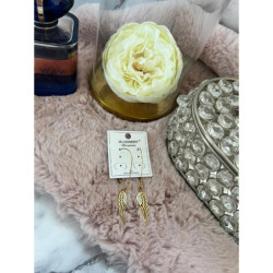 831 Złote kolczyki BLUEBERRY SKRZYDŁA STAL 316L