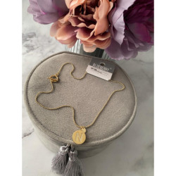 Złoty naszyjnik BLUEBERRY literka N cyrkonie stal