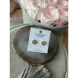 292 Kolczyki Blueberry cyrkonie Koniczynka stal